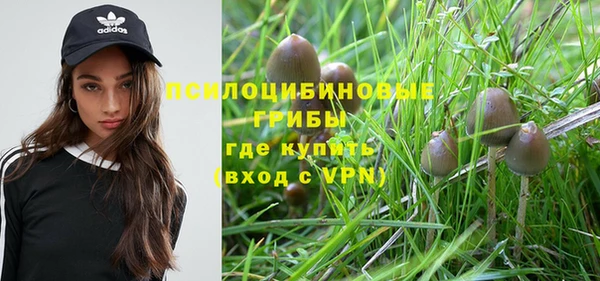дурь Наволоки